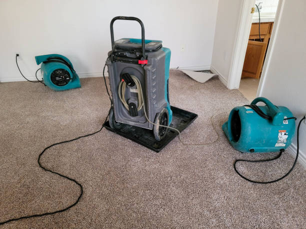 Best Local water damage restoration  in Bristol, CT