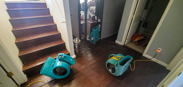 Best Flooded house restoration  in Bristol, CT