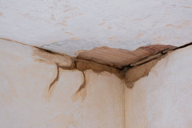 Best Ceiling water damage repair  in Bristol, CT