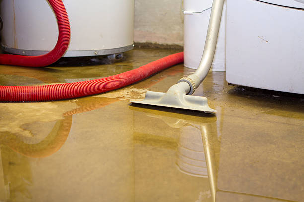 Best Residential water damage restoration  in Bristol, CT