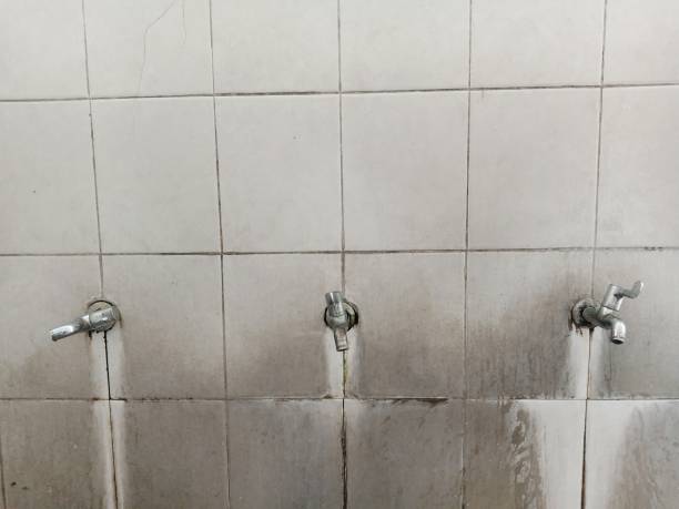 Best Water damage contractors near me  in Bristol, CT